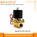 Camion Sprinkler Valve DC 12V